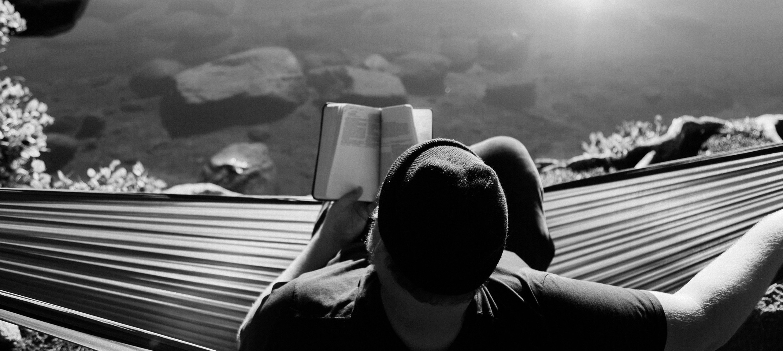 Header Image